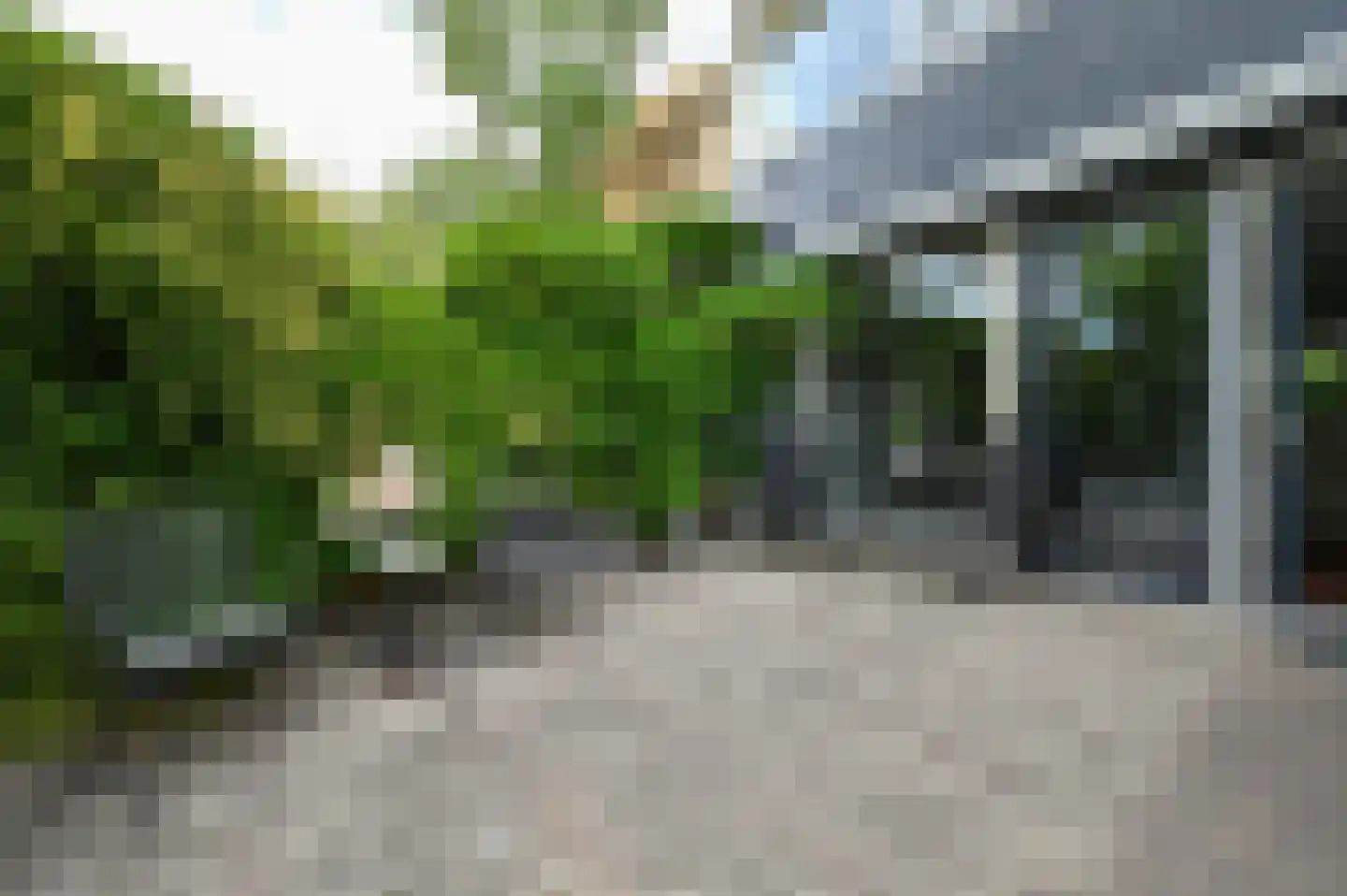 Riet 4 Uithoorn thumbnail 22