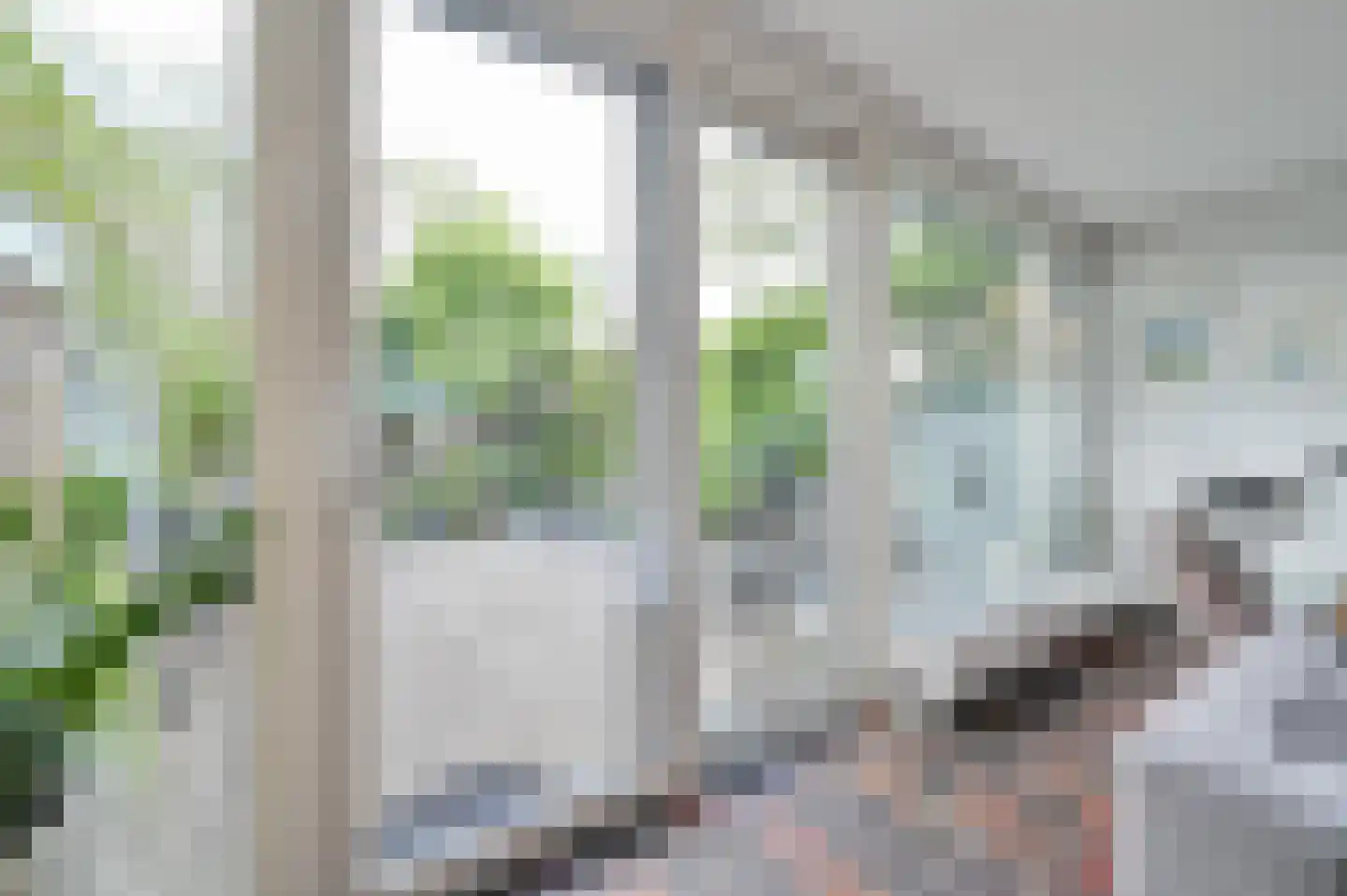 Riet 4 Uithoorn thumbnail 8