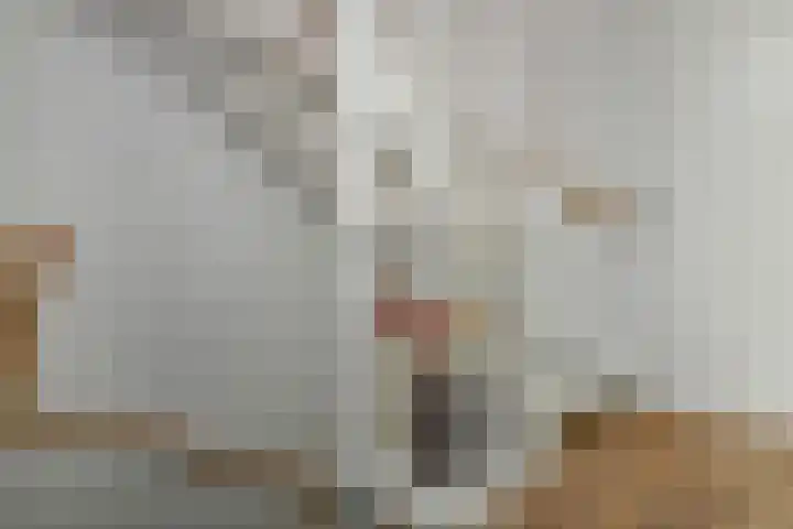 Riet 5 Elst thumbnail 19