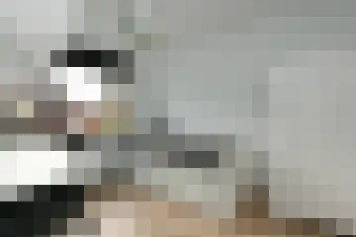Riet 5 Elst thumbnail 25