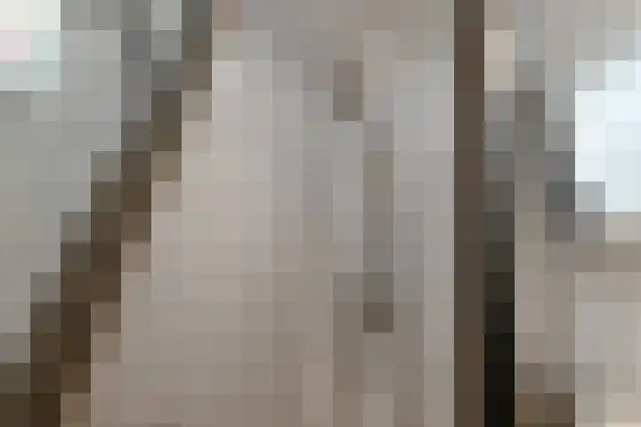 Riet 5 Elst thumbnail 31