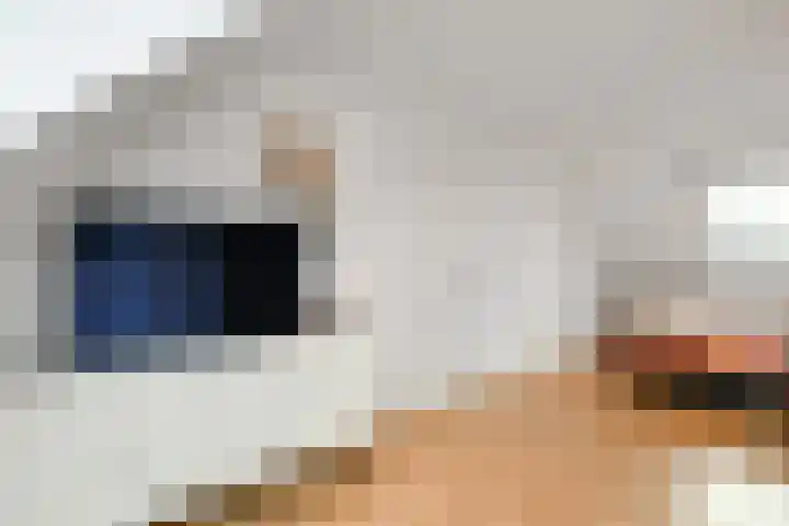 Riet 5 Elst thumbnail 36