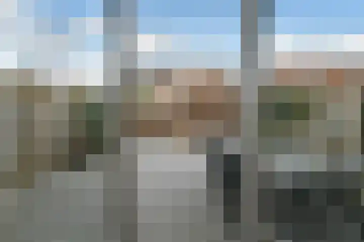 Riet 5 Elst thumbnail 38