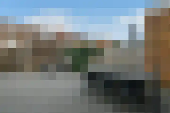 Riet 5 Elst thumbnail 39