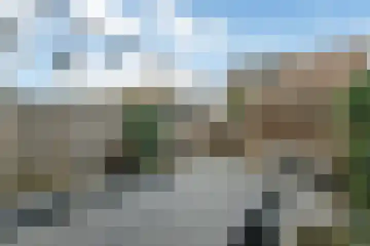 Riet 5 Elst thumbnail 40