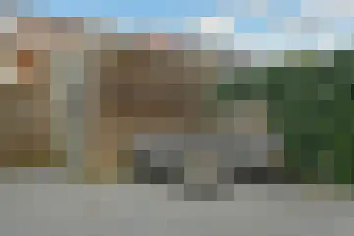 Riet 5 Elst thumbnail 41