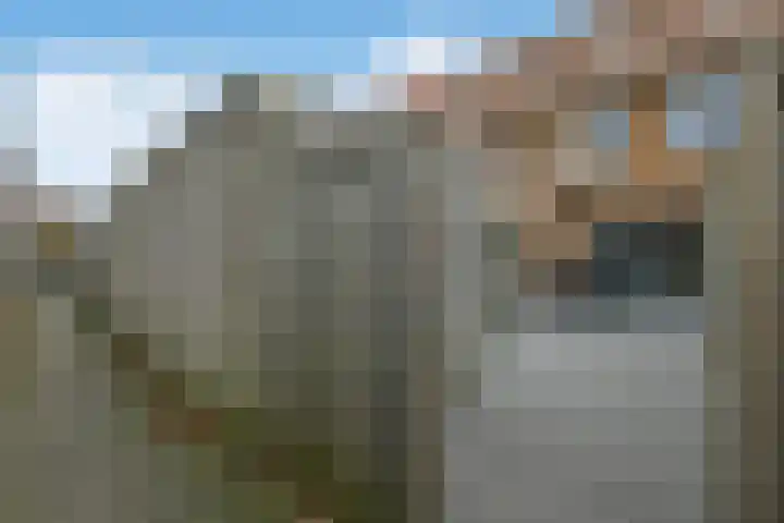 Riet 5 Elst thumbnail 43