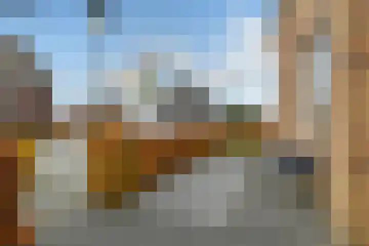 Riet 5 Elst thumbnail 6