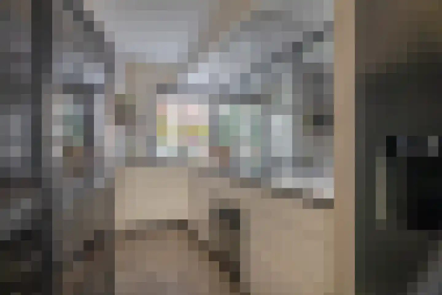 Riet Blom-Mouritsstraat 1 Rotterdam thumbnail 14