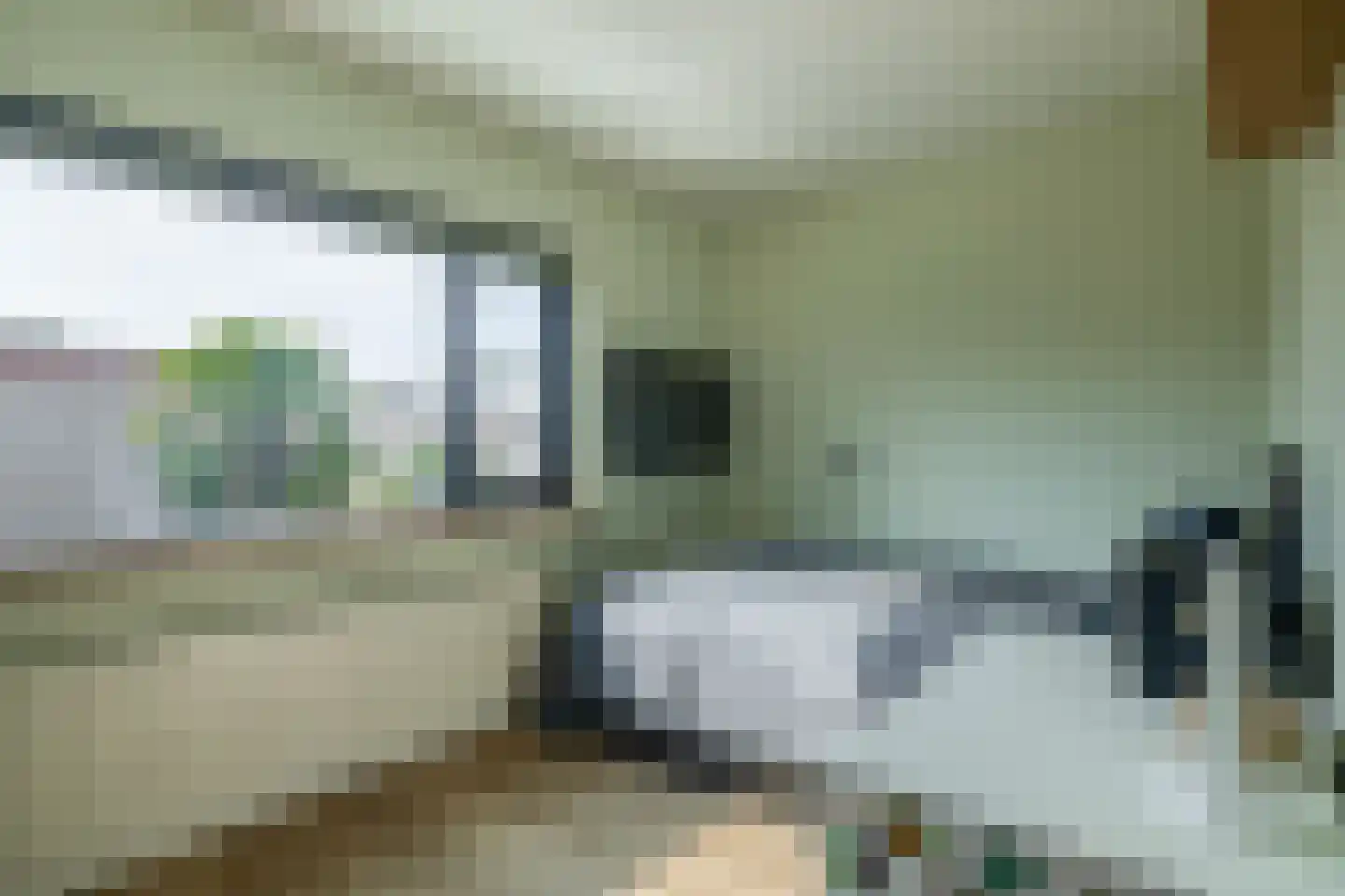 Riet Blom-Mouritsstraat 1 Rotterdam thumbnail 26