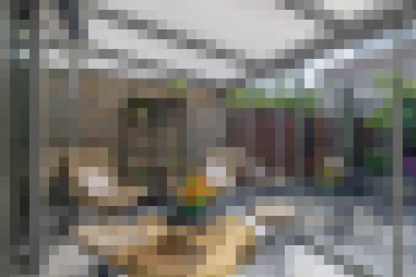 Riet Blom-Mouritsstraat 1 Rotterdam thumbnail 31