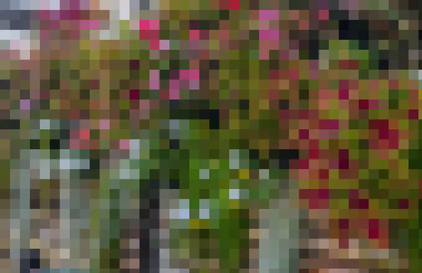 Riet Blom-Mouritsstraat 1 Rotterdam thumbnail 39