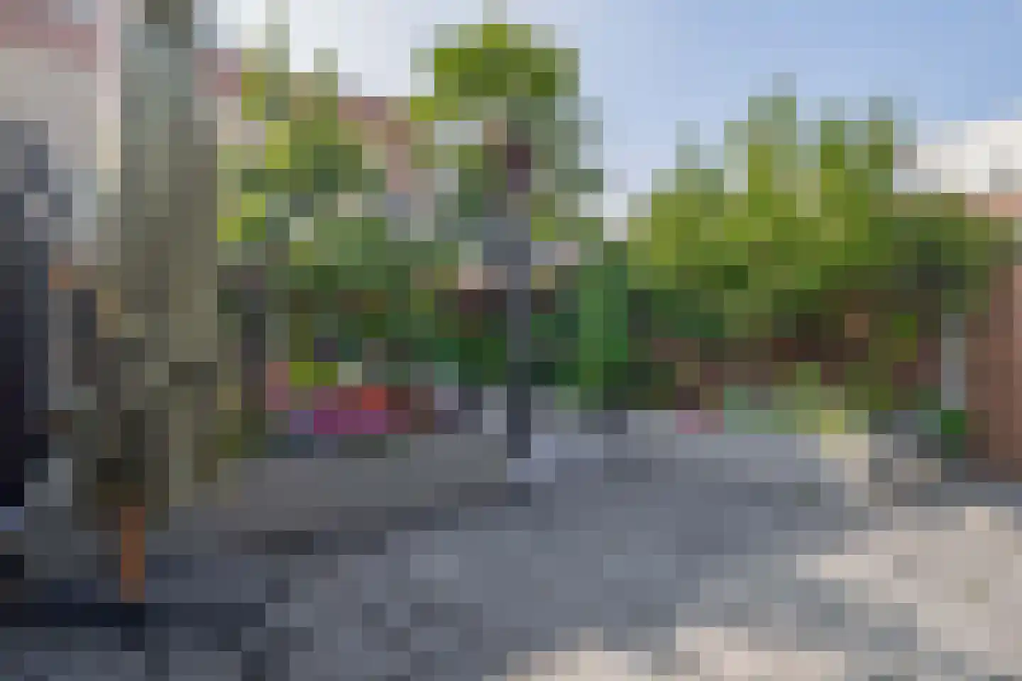 Riet Blom-Mouritsstraat 1 Rotterdam thumbnail 5