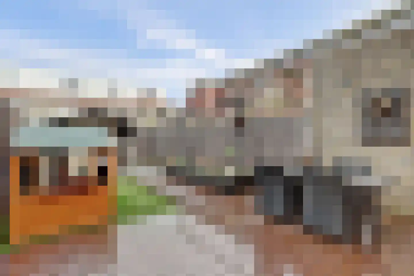 Riet Blom-Mouritsstraat 16 Rotterdam thumbnail 13