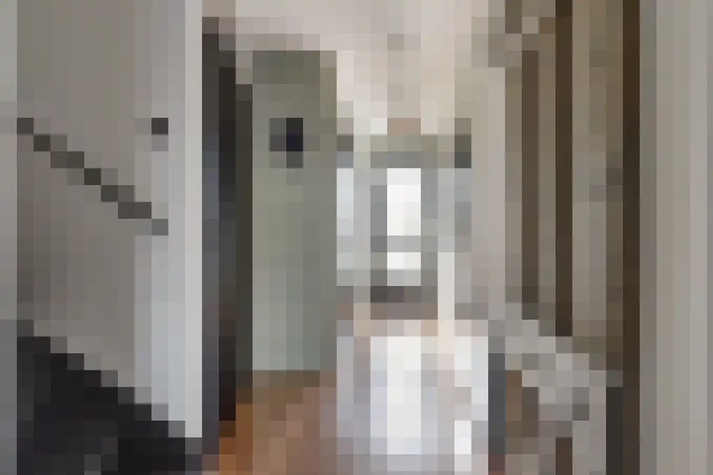 Riet Blom-Mouritsstraat 16 Rotterdam thumbnail 5