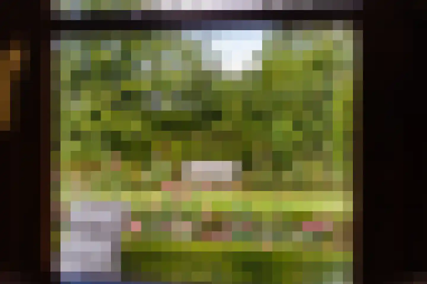 Riet- en Wulfsdijkweg 26 Hulst thumbnail 12