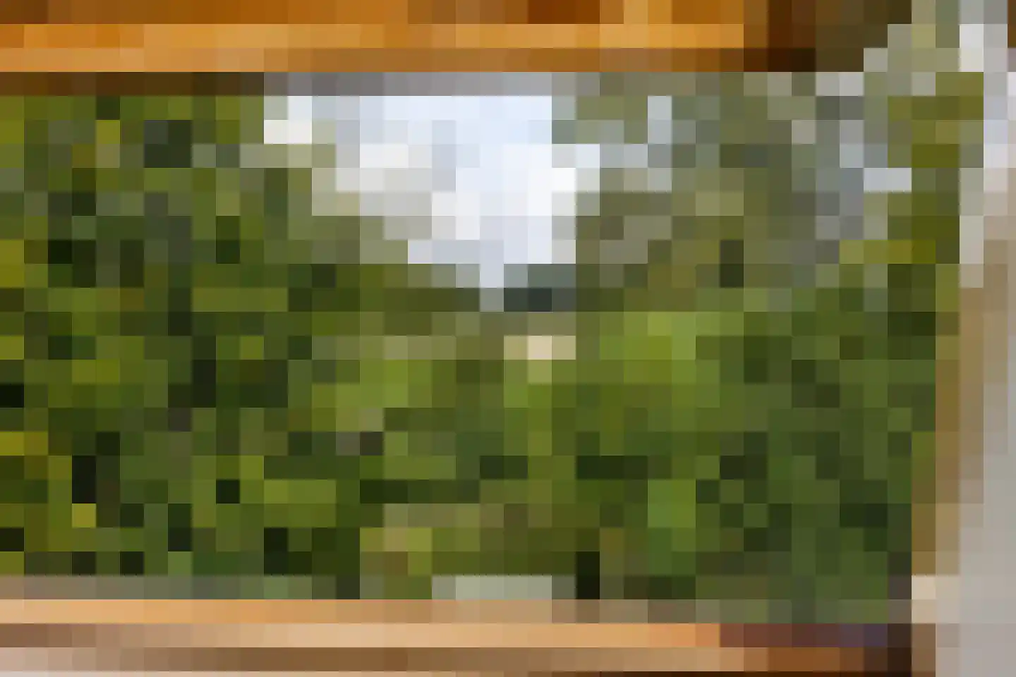 Riet- en Wulfsdijkweg 26 Hulst thumbnail 29