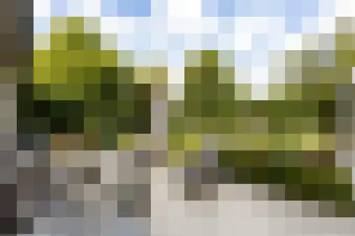 Riet- en Wulfsdijkweg 26 Hulst thumbnail 30