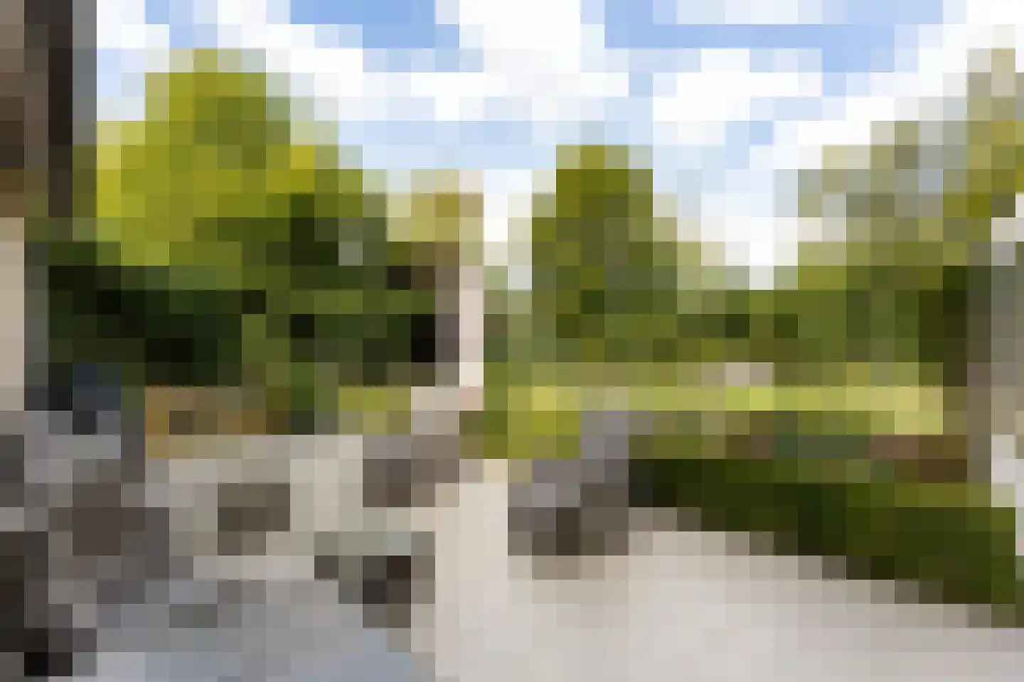 Riet- en Wulfsdijkweg 26 Hulst thumbnail 30
