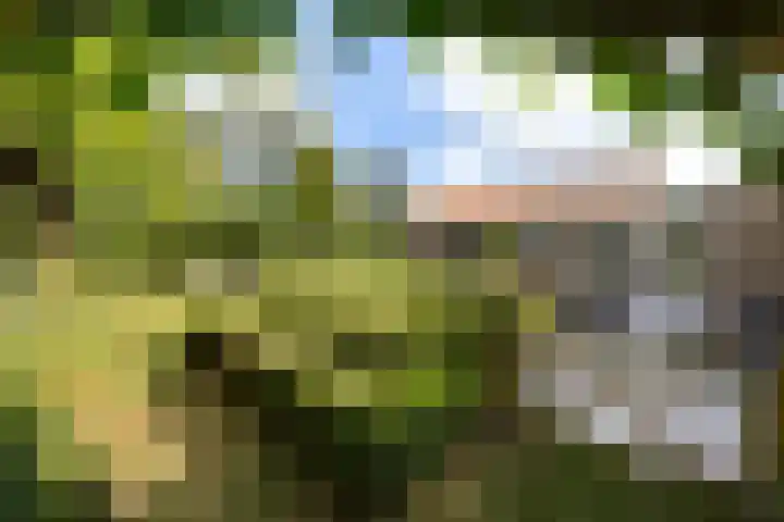 Riet- en Wulfsdijkweg 26 Hulst thumbnail 32