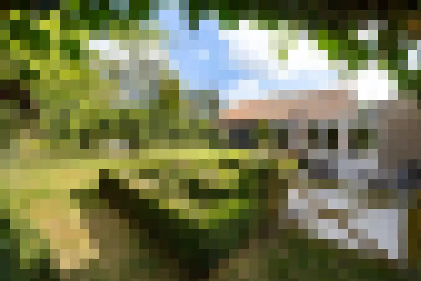 Riet- en Wulfsdijkweg 26 Hulst thumbnail 32