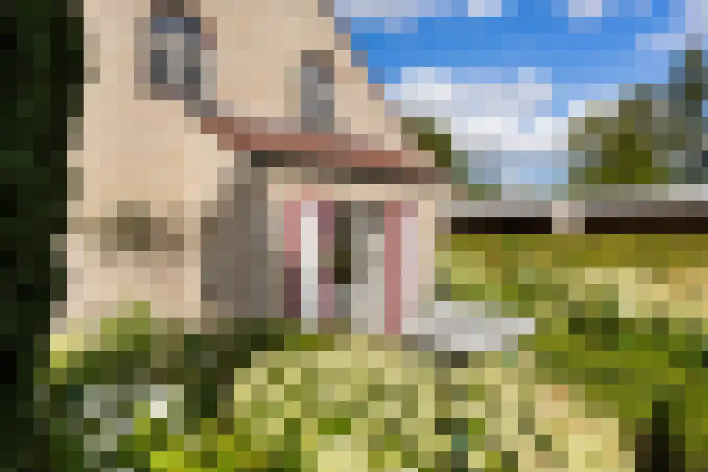 Riet- en Wulfsdijkweg 26 Hulst thumbnail 33