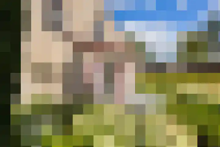 Riet- en Wulfsdijkweg 26 Hulst thumbnail 33