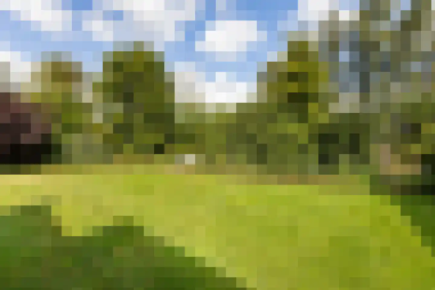 Riet- en Wulfsdijkweg 26 Hulst thumbnail 35