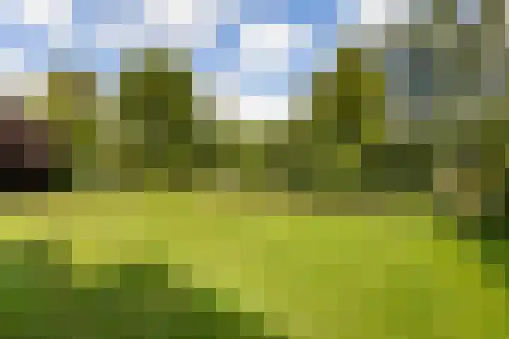 Riet- en Wulfsdijkweg 26 Hulst thumbnail 35