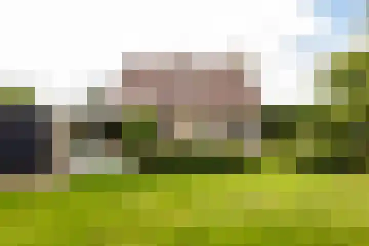 Riet- en Wulfsdijkweg 26 Hulst thumbnail 36