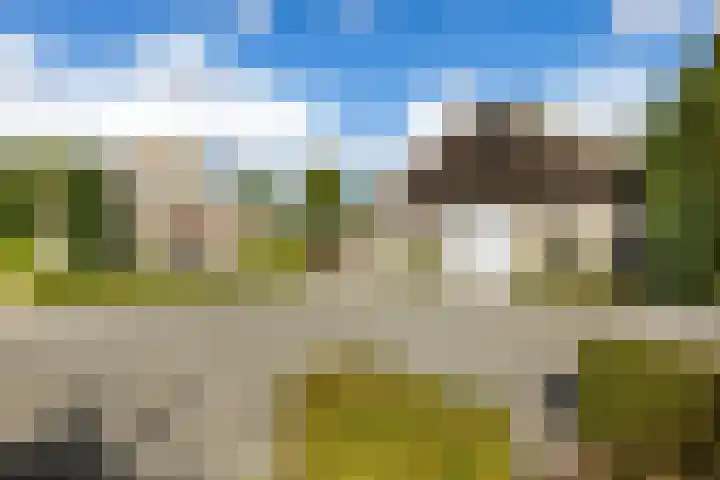 Riet- en Wulfsdijkweg 26 Hulst thumbnail 37