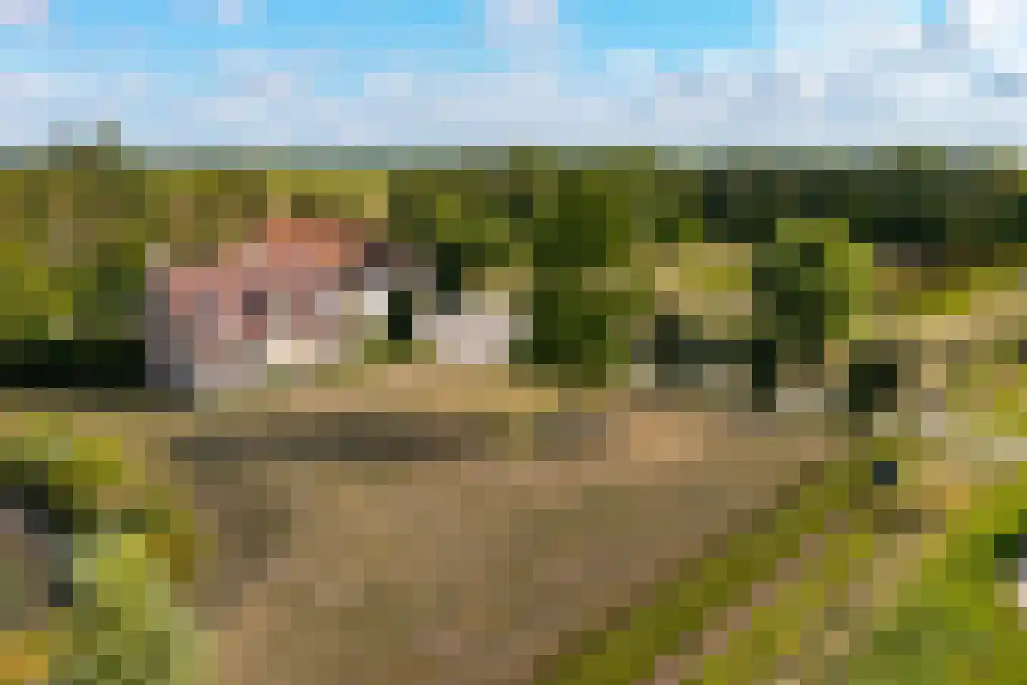 Riet- en Wulfsdijkweg 26 Hulst thumbnail 39