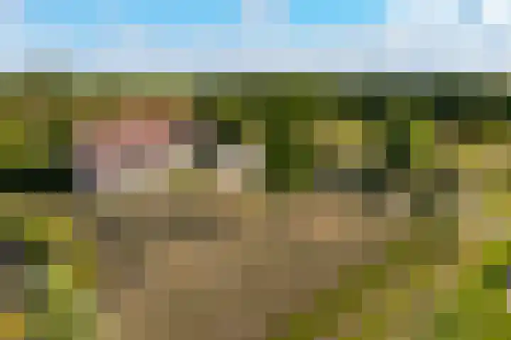 Riet- en Wulfsdijkweg 26 Hulst thumbnail 39
