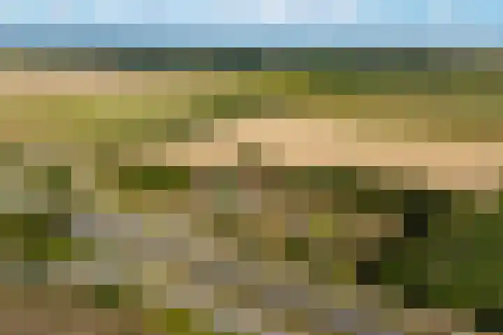Riet- en Wulfsdijkweg 26 Hulst thumbnail 40