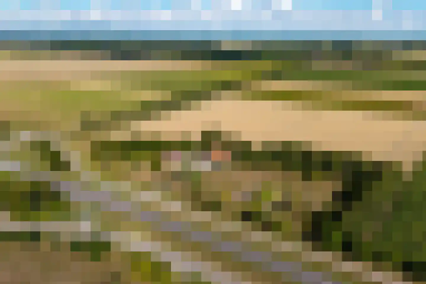 Riet- en Wulfsdijkweg 26 Hulst thumbnail 40