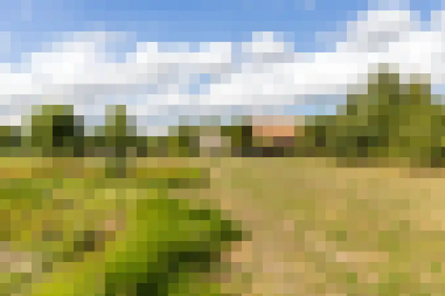 Riet- en Wulfsdijkweg 26 Hulst thumbnail 41