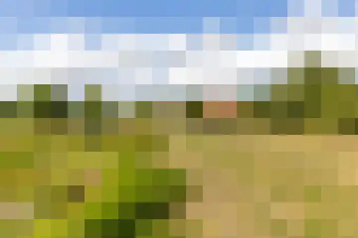 Riet- en Wulfsdijkweg 26 Hulst thumbnail 41