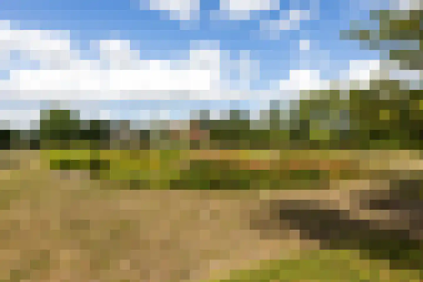 Riet- en Wulfsdijkweg 26 Hulst thumbnail 42