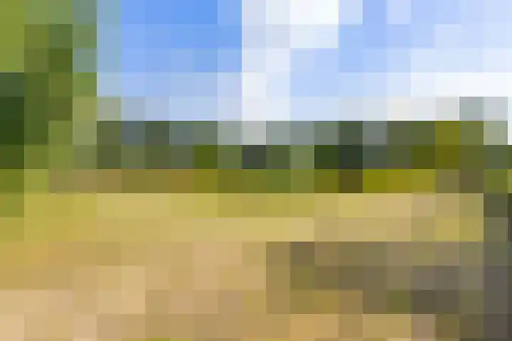 Riet- en Wulfsdijkweg 26 Hulst thumbnail 43