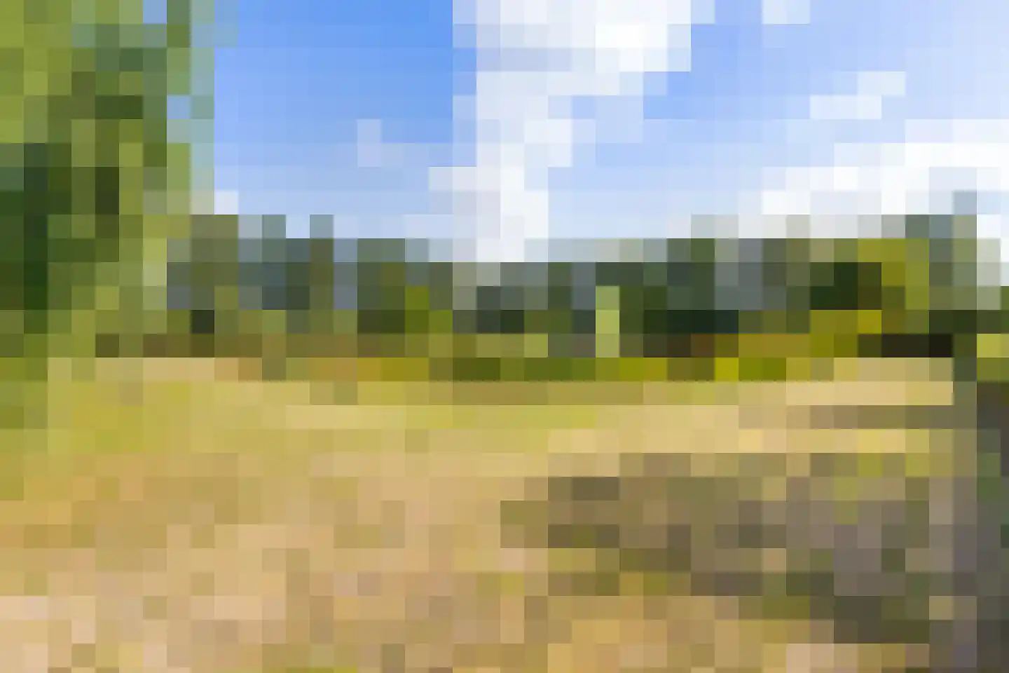 Riet- en Wulfsdijkweg 26 Hulst thumbnail 43