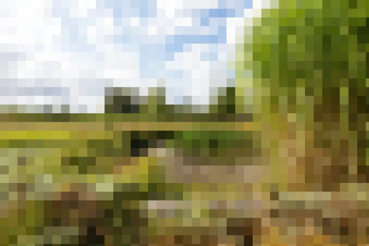 Riet- en Wulfsdijkweg 26 Hulst thumbnail 45