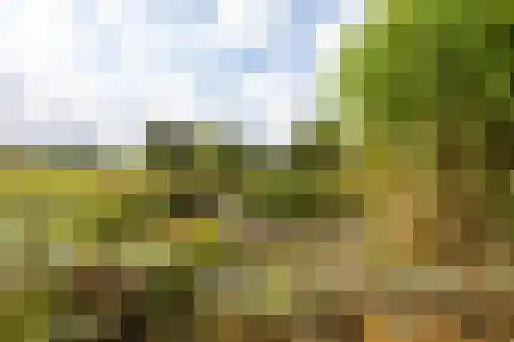 Riet- en Wulfsdijkweg 26 Hulst thumbnail 45