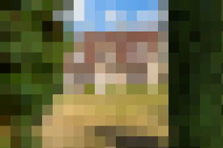 Riet- en Wulfsdijkweg 26 Hulst thumbnail 46