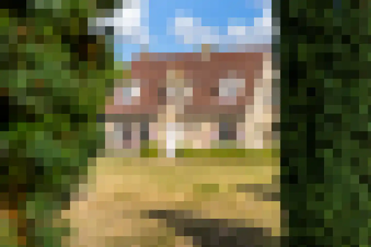 Riet- en Wulfsdijkweg 26 Hulst thumbnail 46