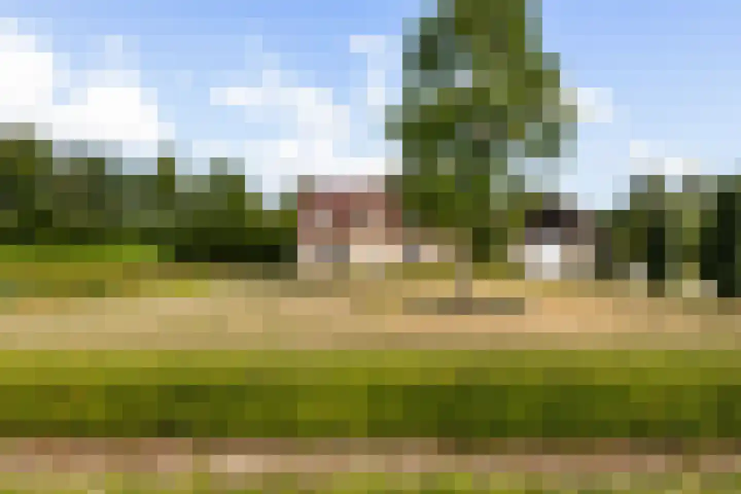 Riet- en Wulfsdijkweg 26 Hulst thumbnail 5