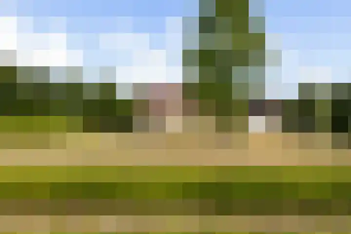 Riet- en Wulfsdijkweg 26 Hulst thumbnail 5