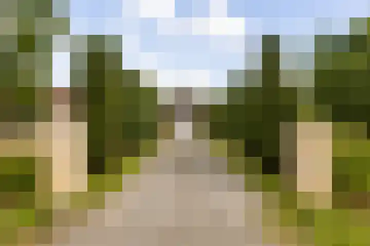 Riet- en Wulfsdijkweg 26 Hulst thumbnail 6