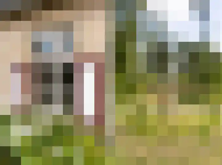 Riet- en Wulfsdijkweg 26 Hulst thumbnail 7