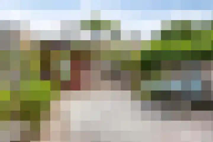 Riet Schoolenbergpad 24 Rotterdam thumbnail 13