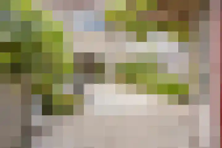 Riet Schoolenbergpad 24 Rotterdam thumbnail 14